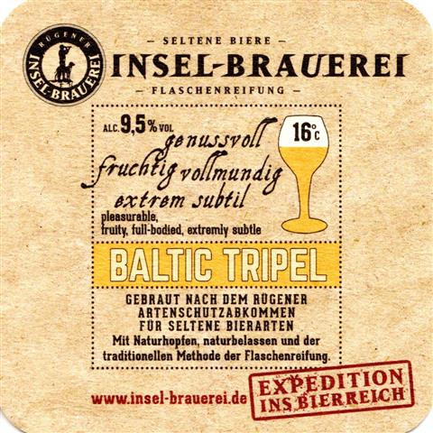 rambin vr-mv inselbrauerei baltic 3b (quad185-baltic tripel-9,5%)